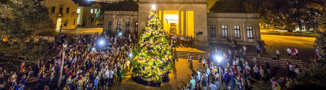 Christmas Tree Lighting