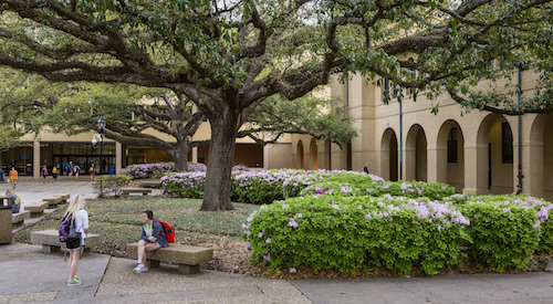photo: students in quad