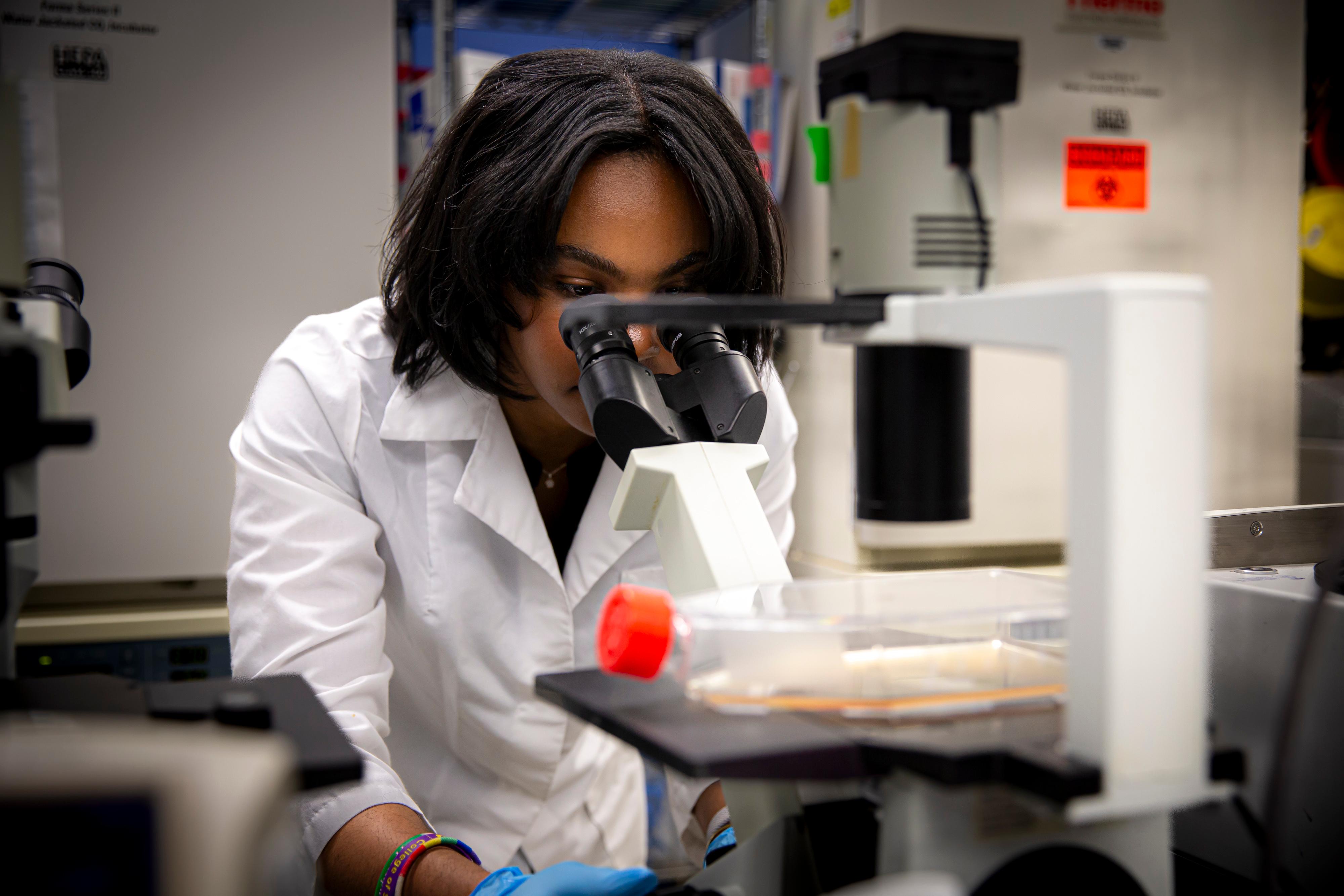 Danielle Gipson working in the lab.