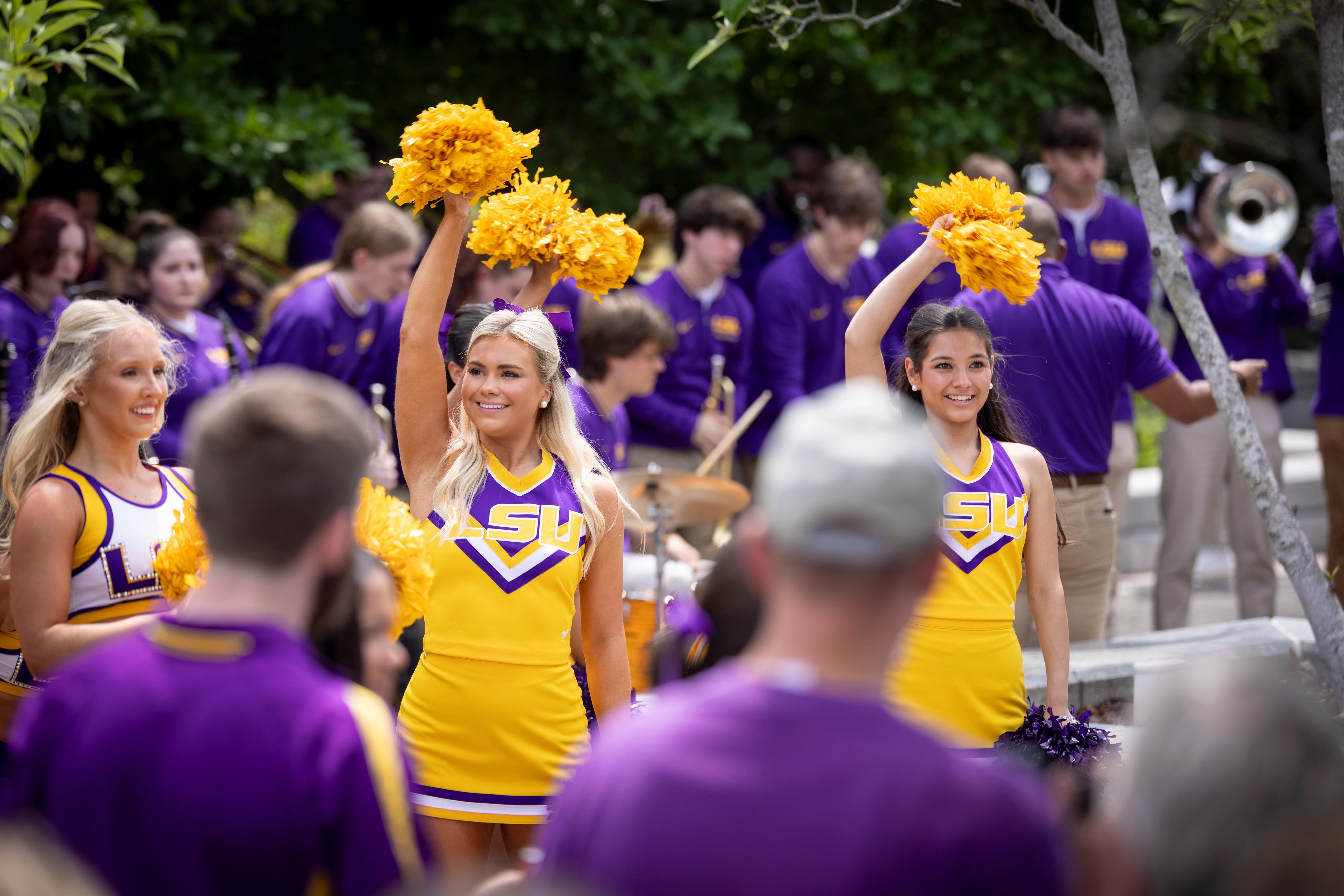 Scene from LSU Day at the Capitol.
