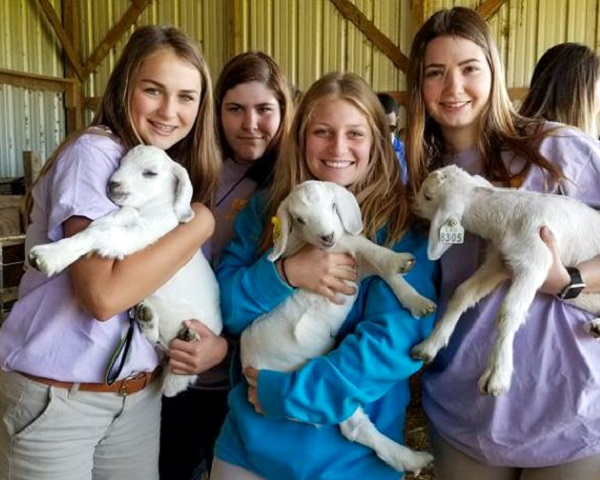 Students holding goats during ag week 2018