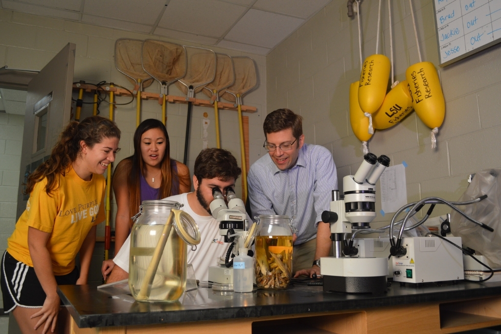 Researchers look in microscope