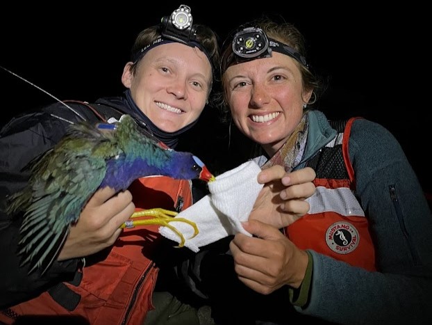 Graduate students hold a purple gallinule