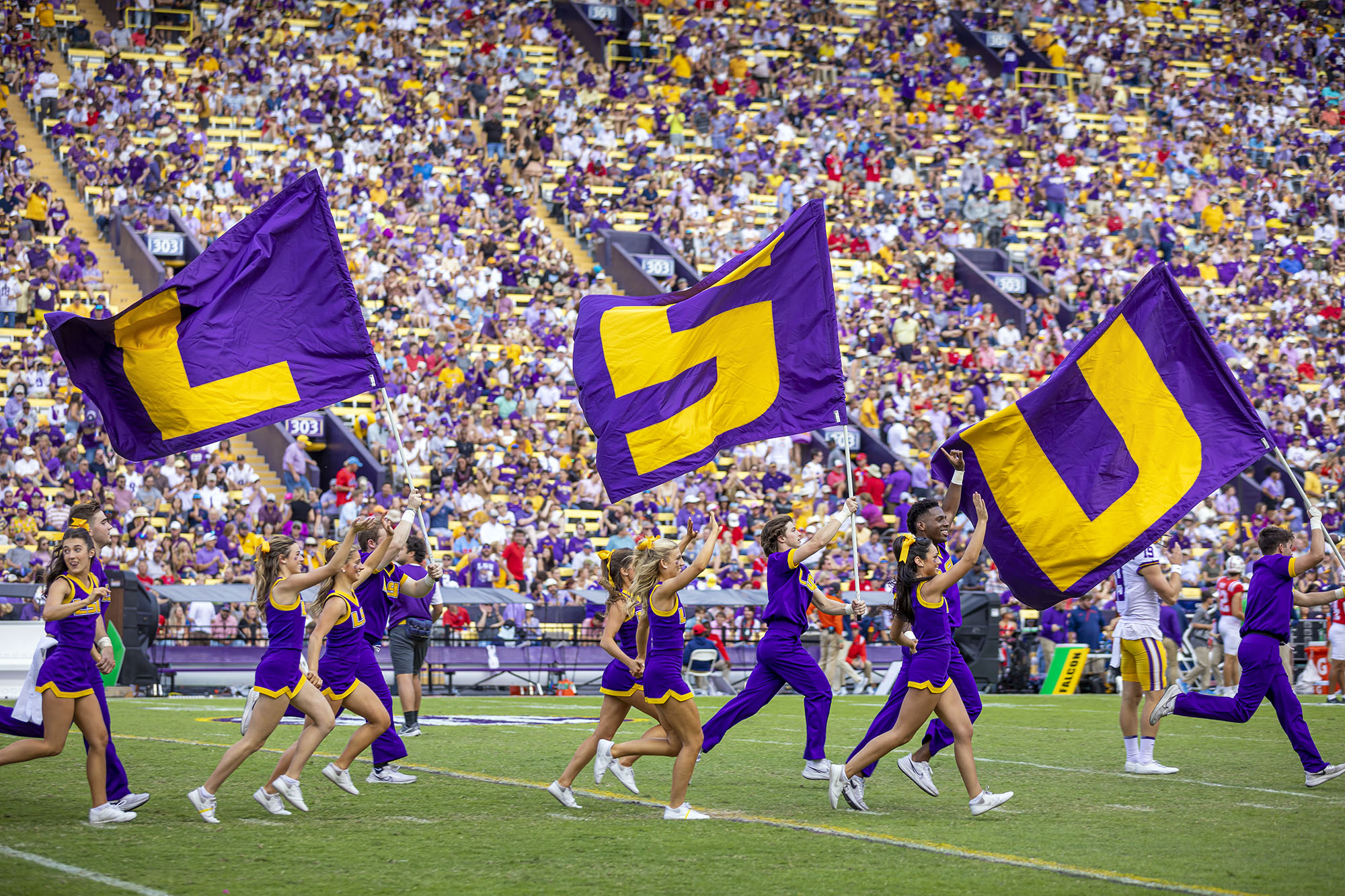 LSU Colors Purple and Gold a Proud Tradition Since 1893