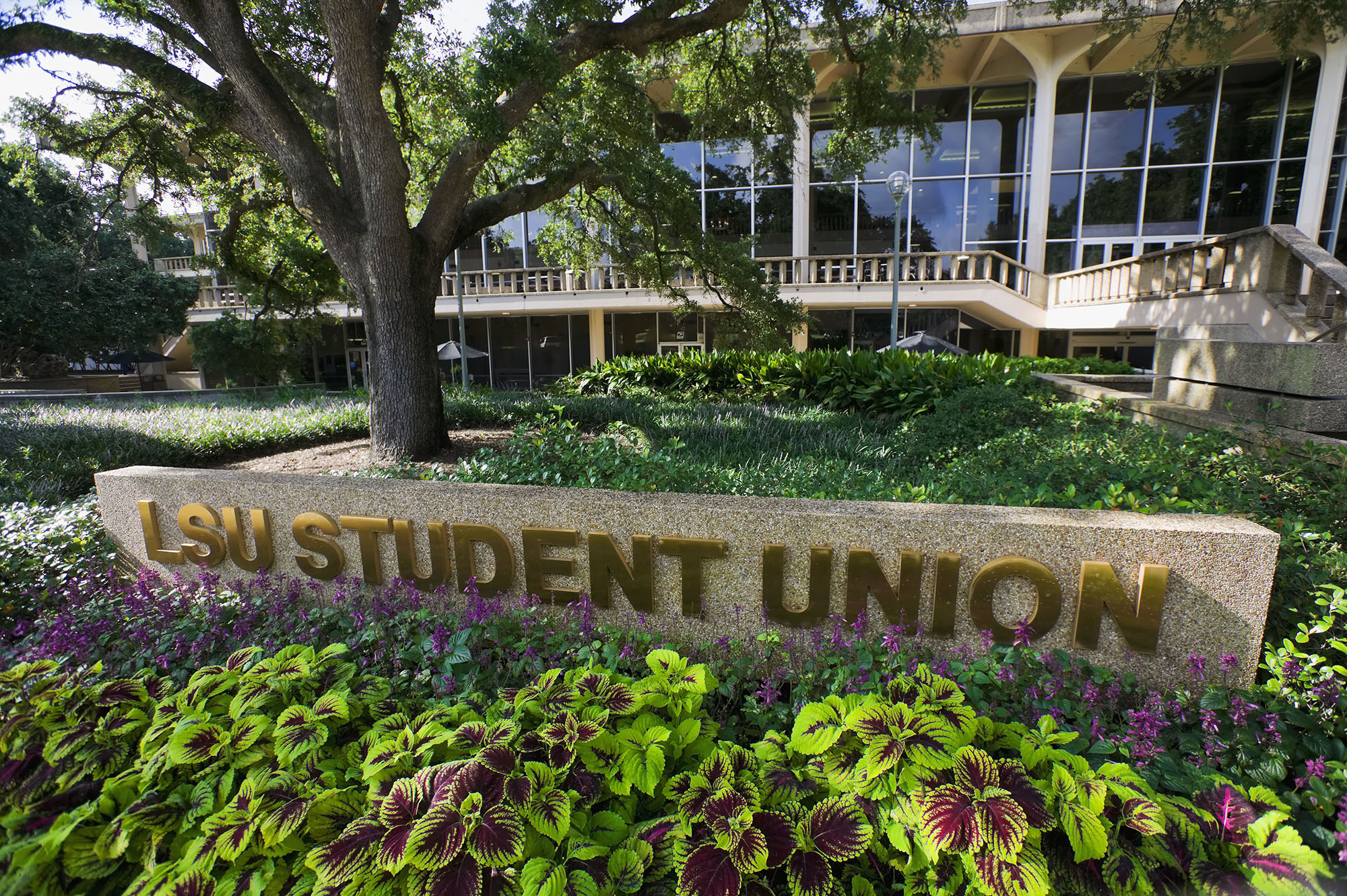 A sign in front of the LSU Student Union