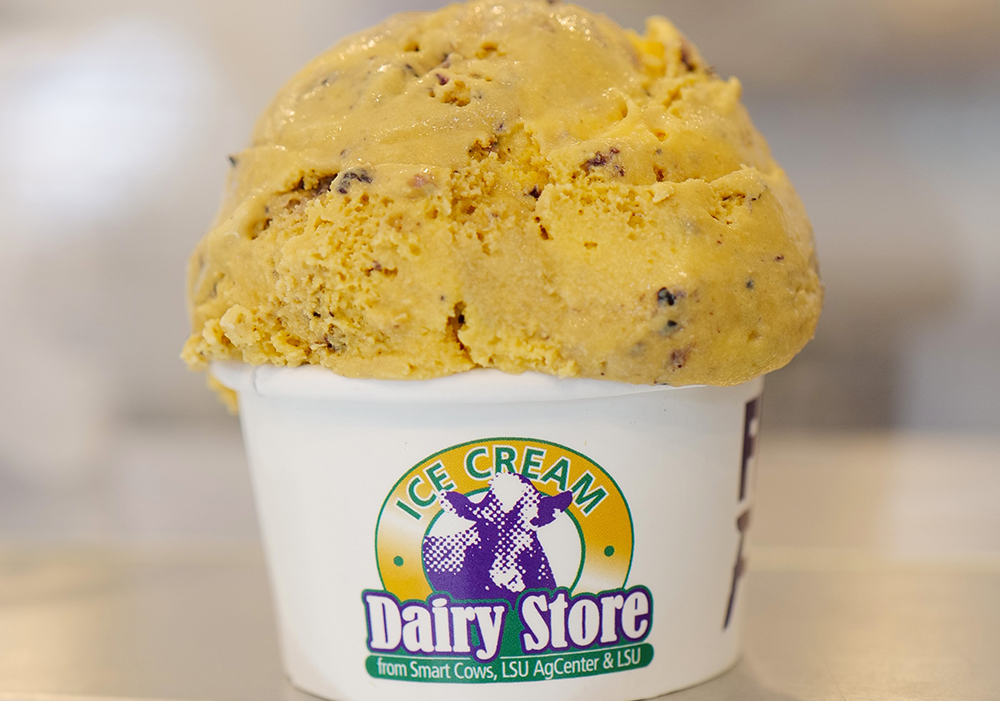 Cup of Tigerbite ice cream from Dairy Store
