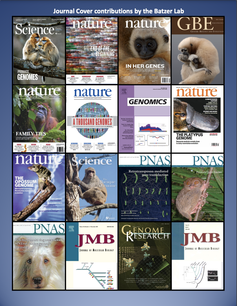 Collage of 16 research magazine covers featuring Batzer Lab work