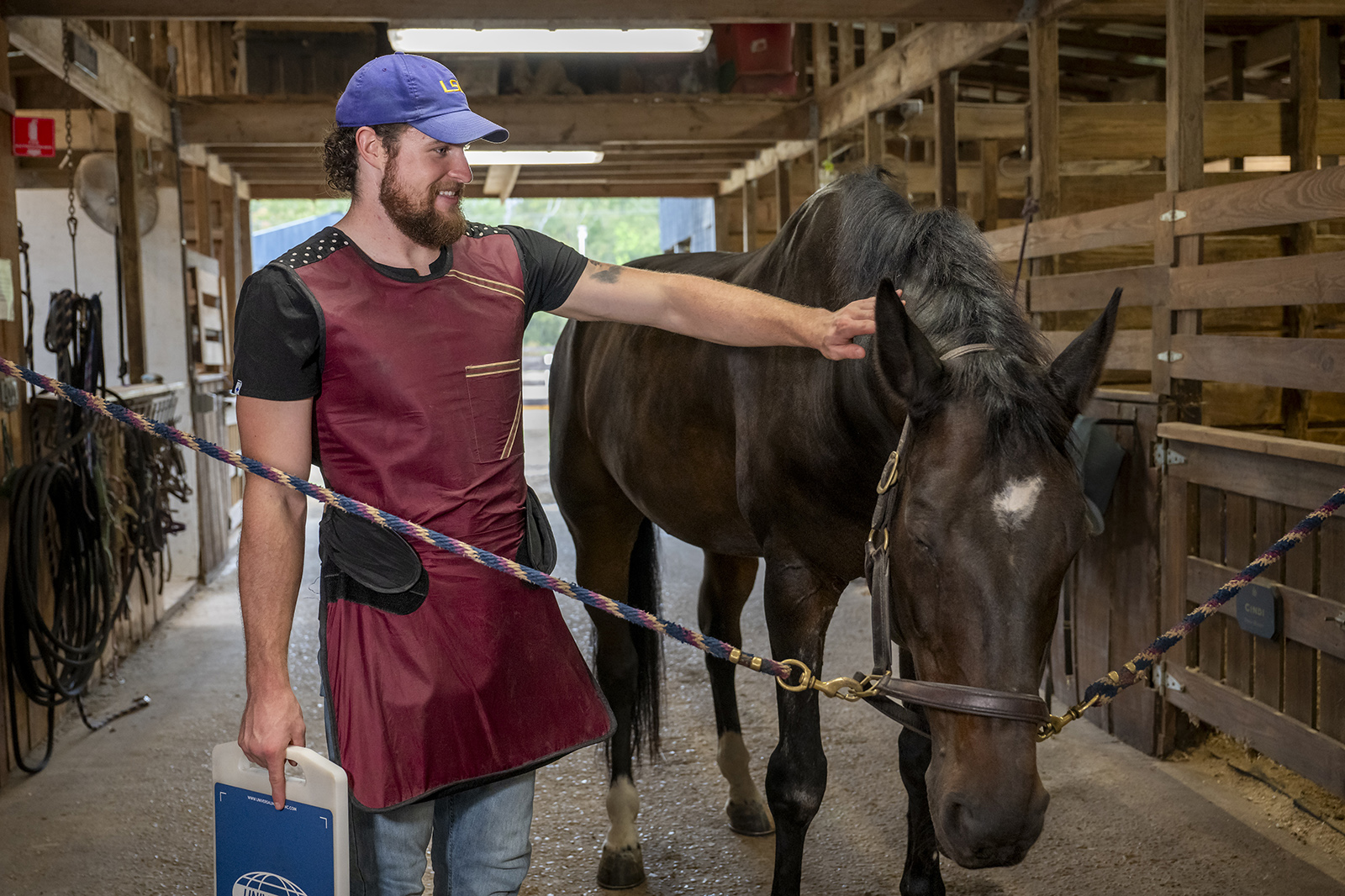 Peyton Todd tends to a horse in a barn