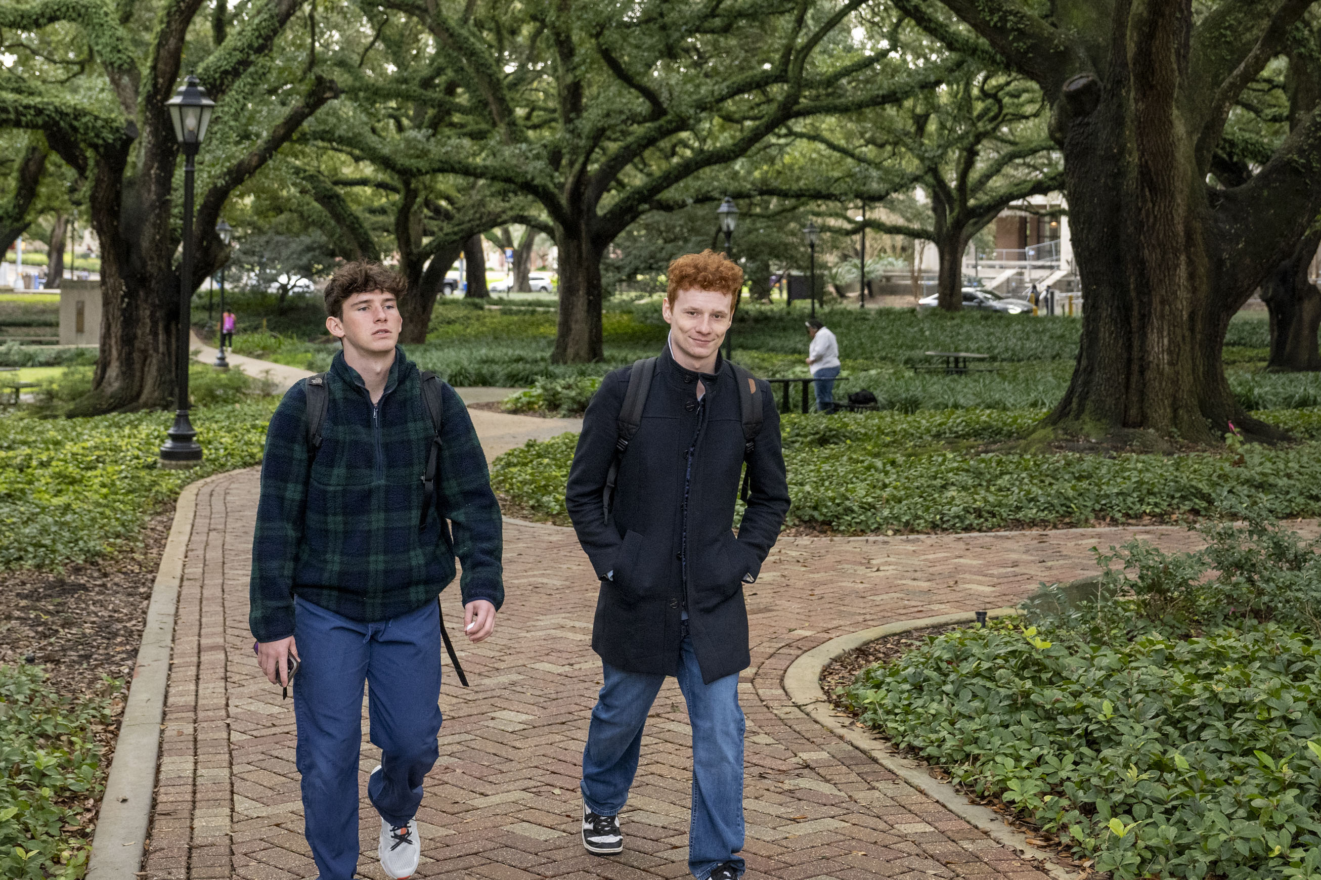 Two students walk on a oak-lined path on LSU campus