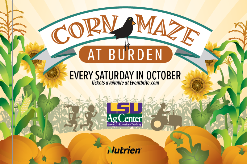 Corn Maze at Burden. Every Saturday in October. Tickets available at Eventrbite.com. LSU AgCenter logo. Nutrien AgSolutions logo.