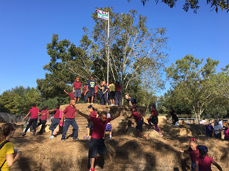 children climbing mountain of hay