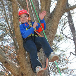 little boy in a tree wearing tree-climbing gear