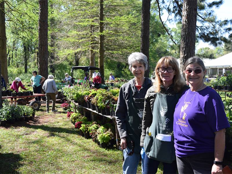 two women at a plant sale