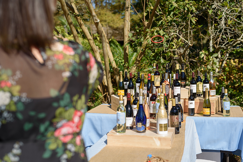 woman through rings at group of wine bottles