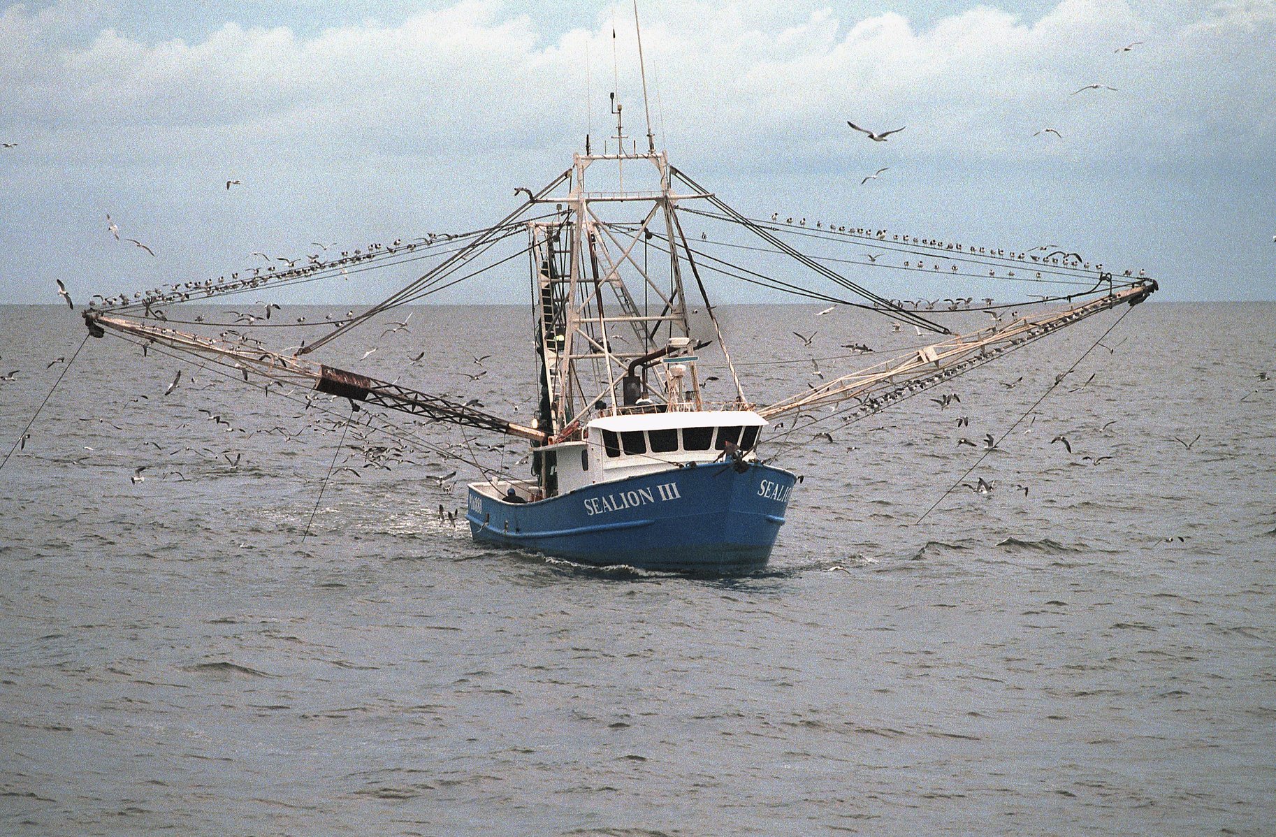 Gulf Fishing Boat