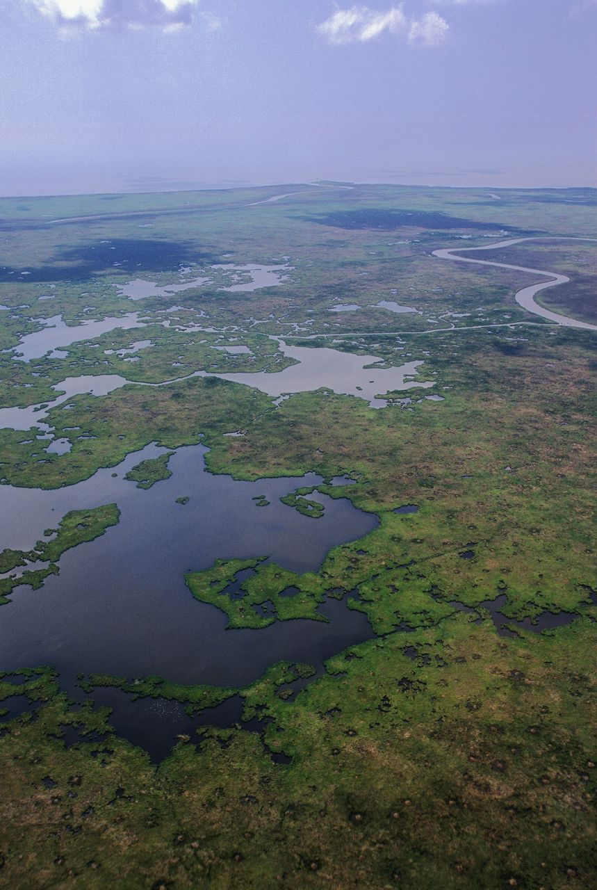 the Mississippi River delta