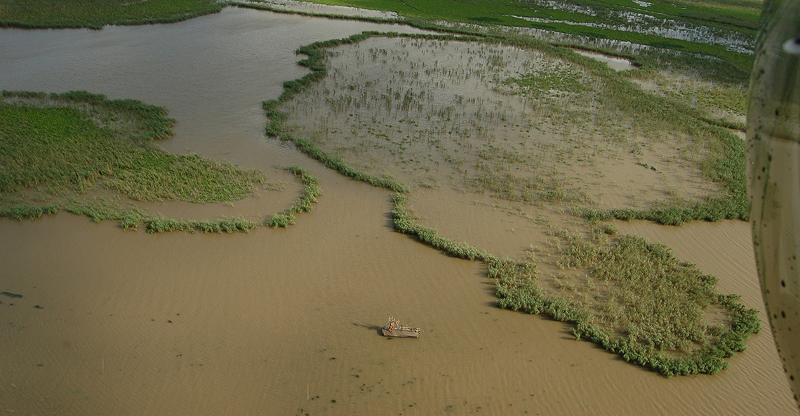 an aerial photograph of a marsh where interior plants are gone