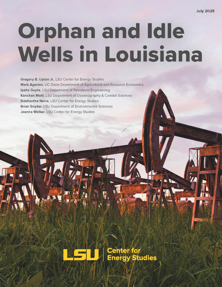 Orphan and Idle Wells in Louisiana