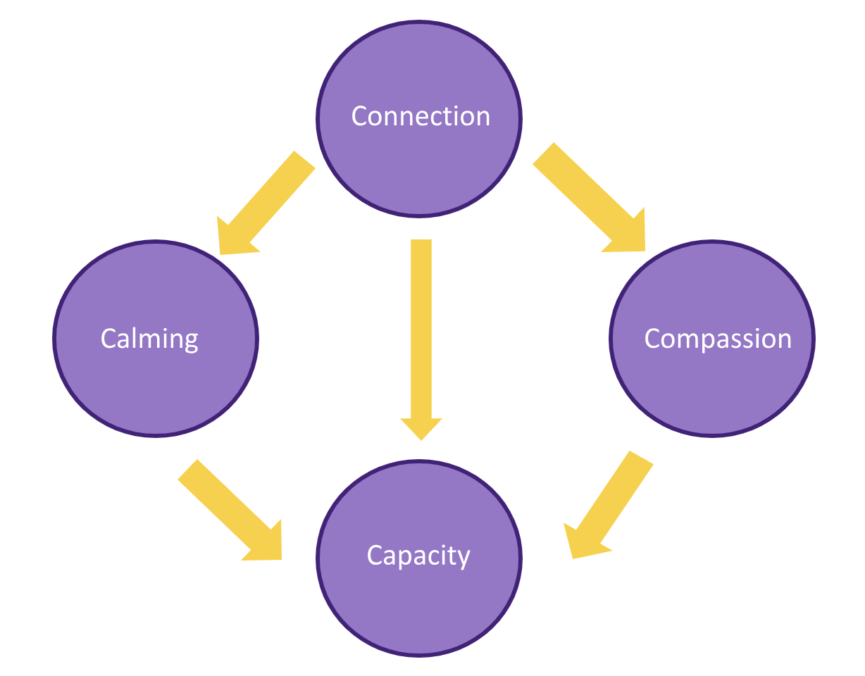 4cs diagram - connection, compassion, calming leading to capactiy