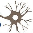 Parkinson's Conference logo