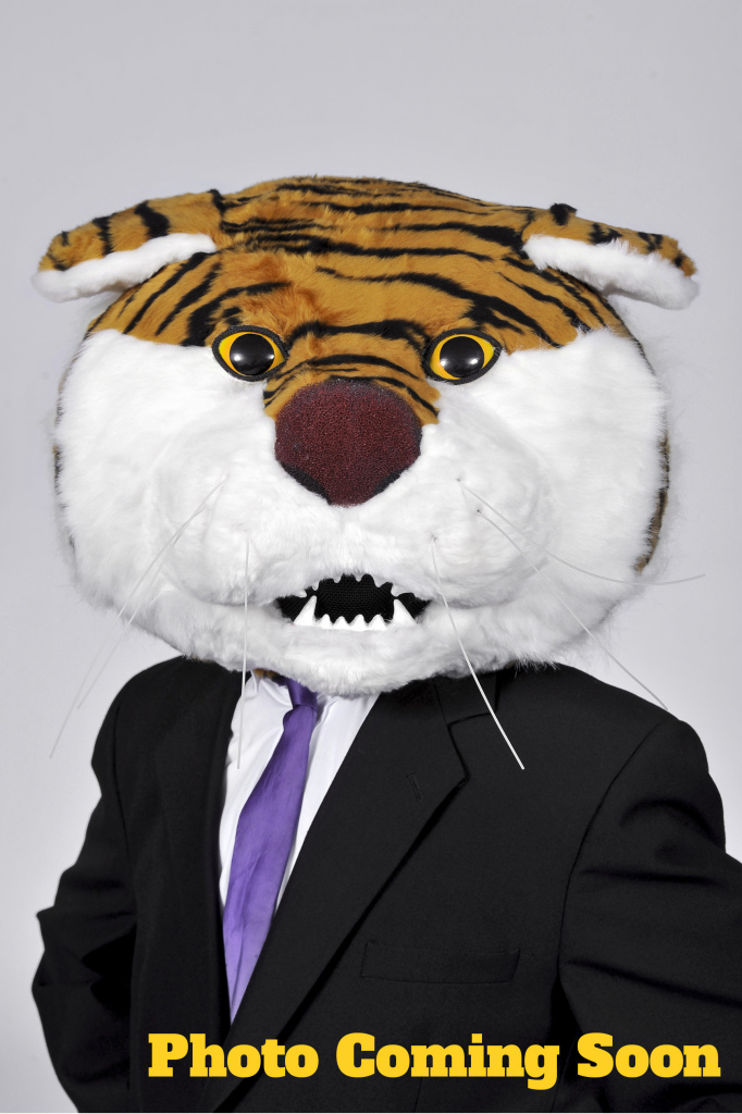 mike the tiger placeholder
