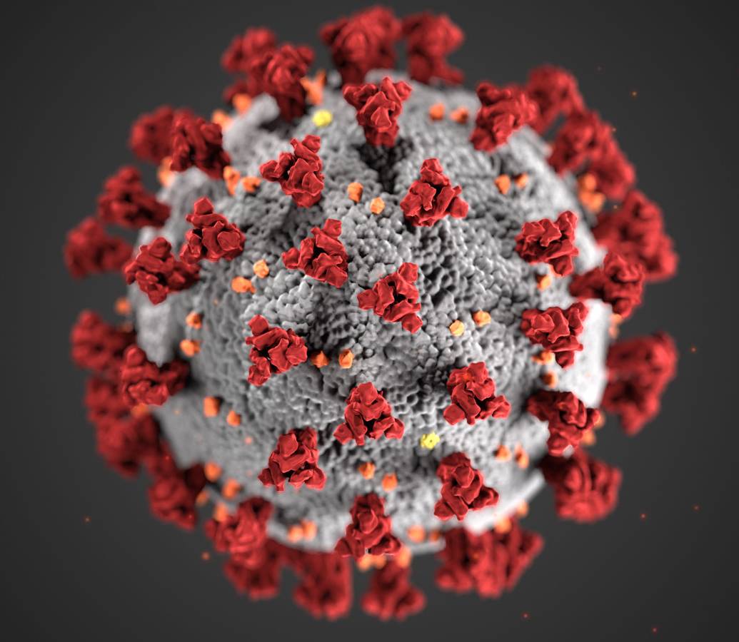 Image of the coronavirus, CoVID19