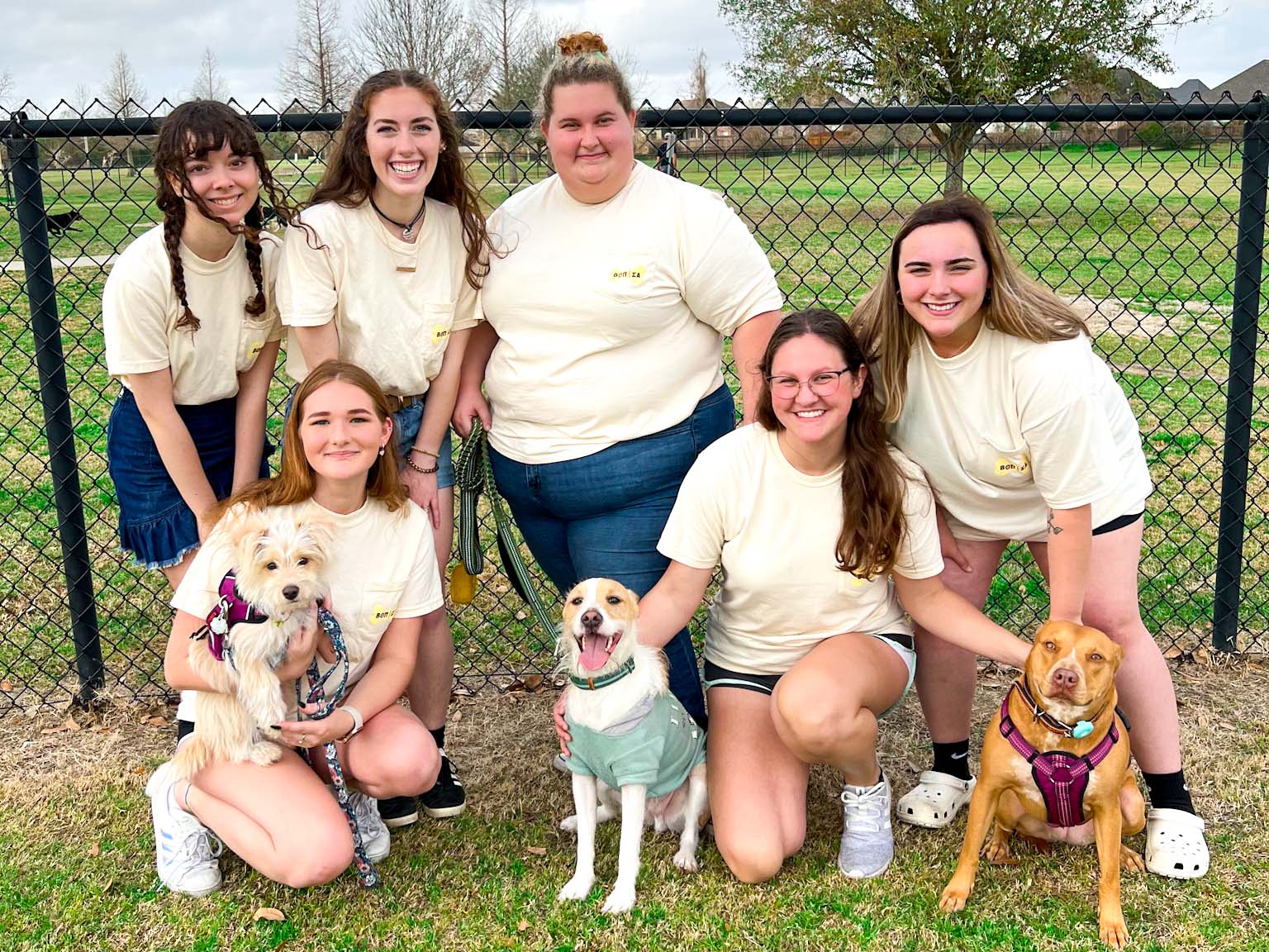 sorority members volunteer with dogs