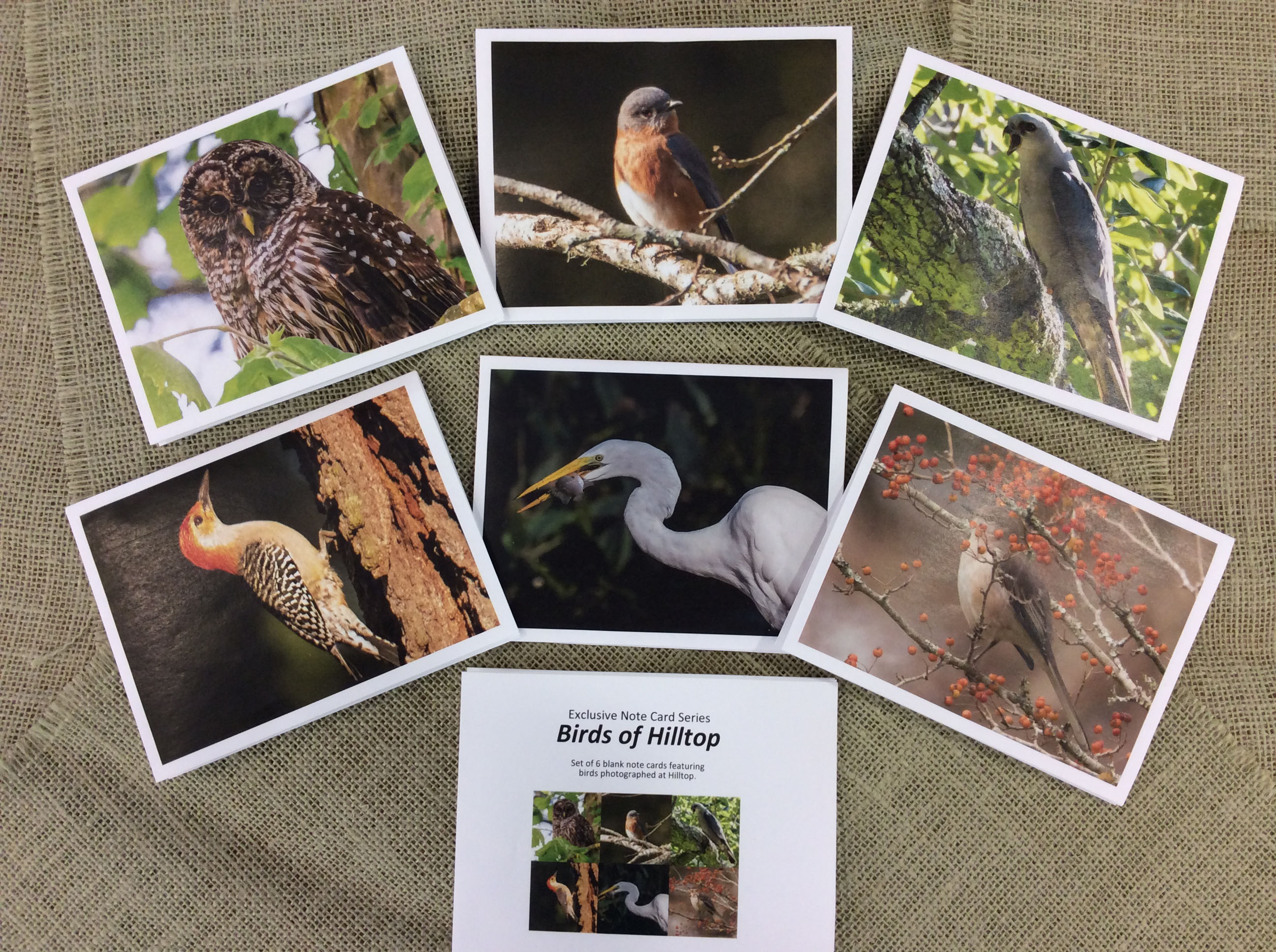 display of Birds of Hilltop note cards