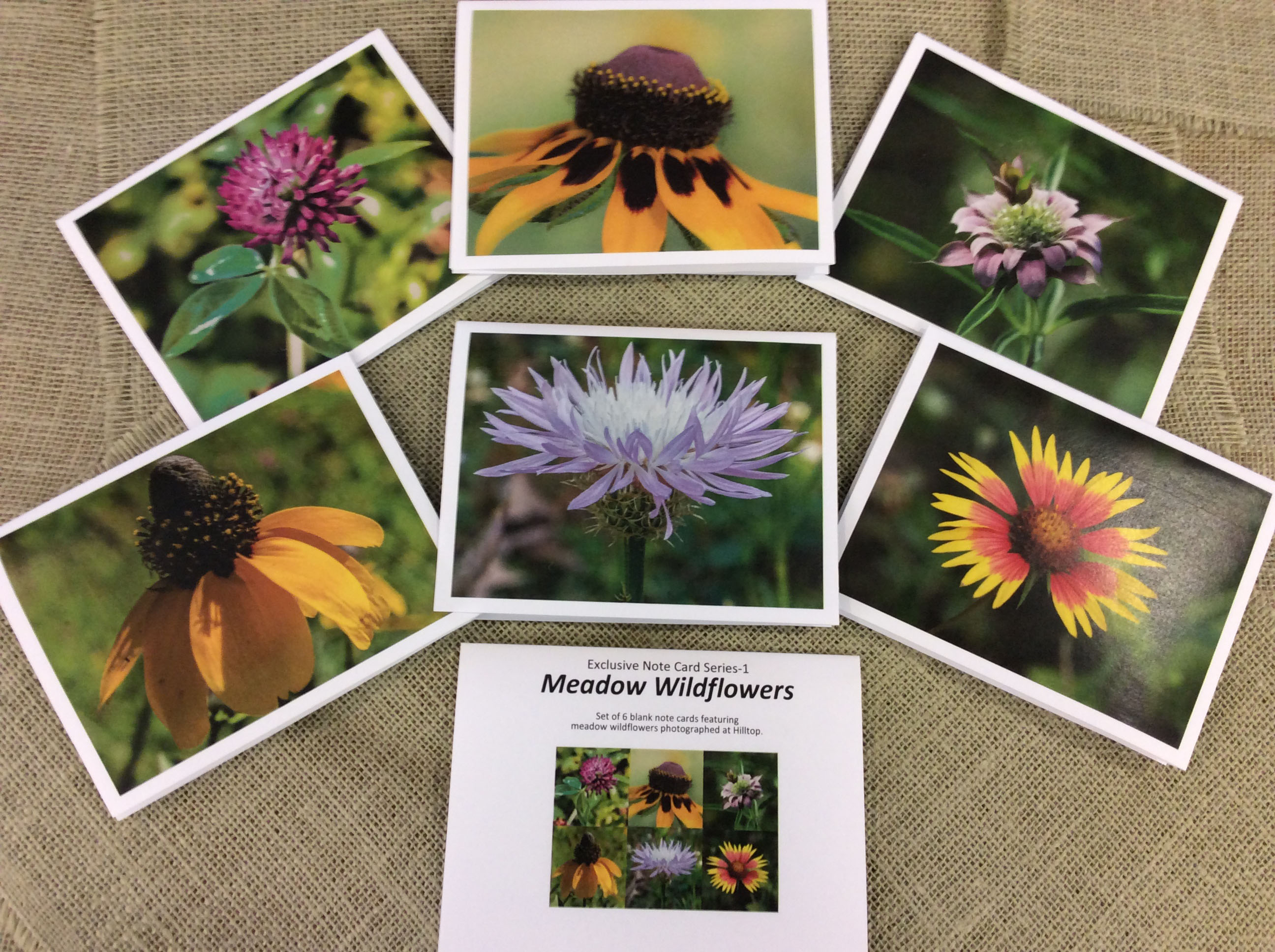 display of Meadow Wildflowers notecard set