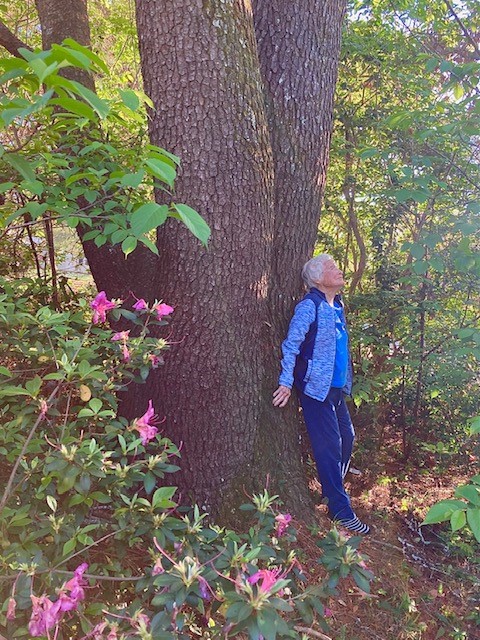 julia by a tree