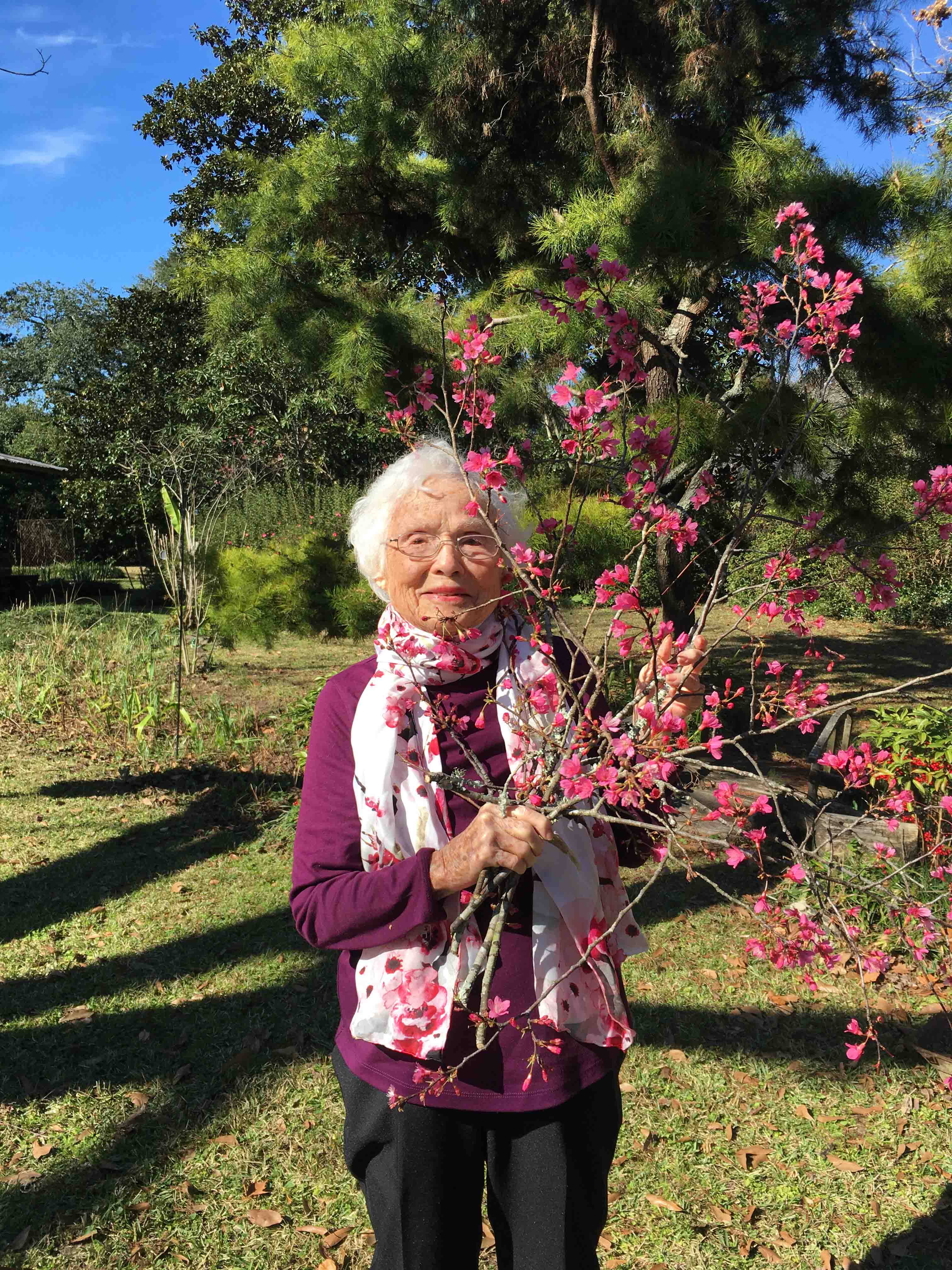 Julia Hawkins holding blooming Taiwan Cherry tree limbs