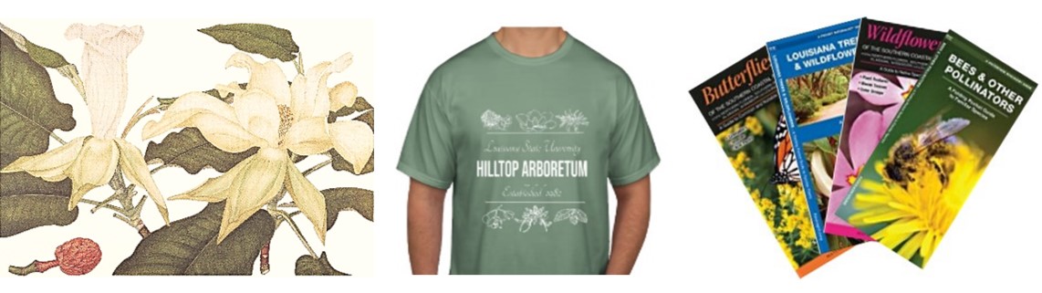 Margaret Stone's print, Hilltop T-shirt, and sample of pocket guides