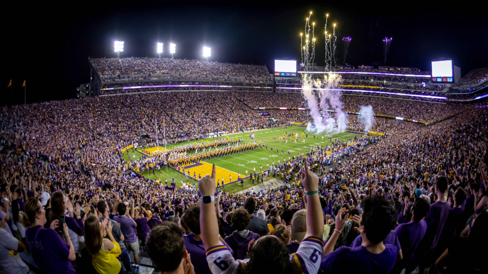 a photo of fans in Tiger Stadium