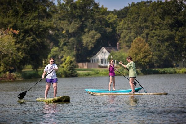 students paddle boarding