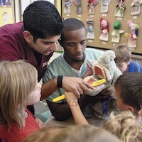 Students teach elementary students proper dental hygiene.