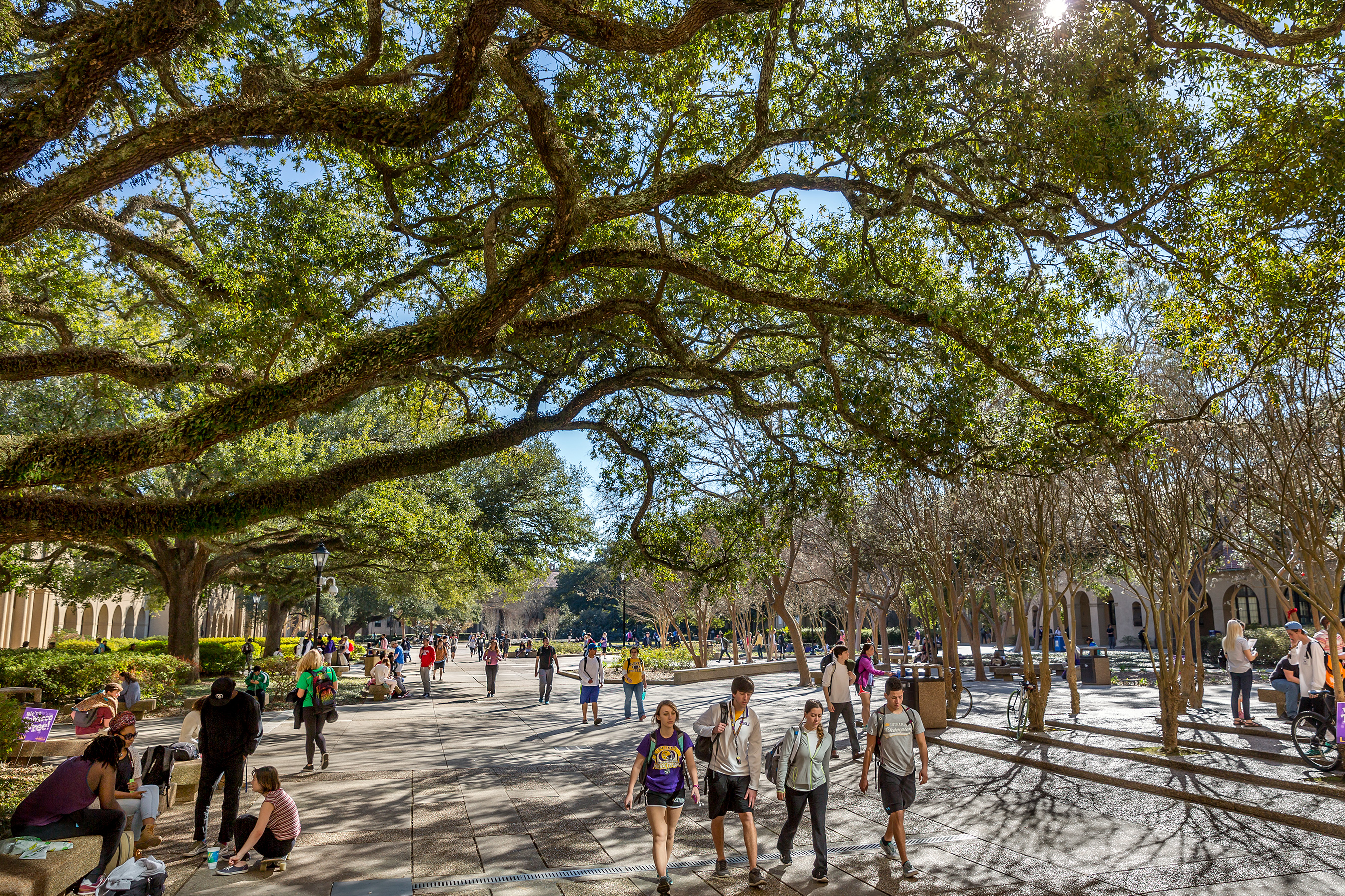 LSU Moves Up in America’s Top Colleges List, Ranked Highest Among