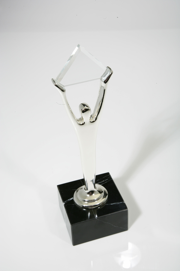 Silver Stevie trophy