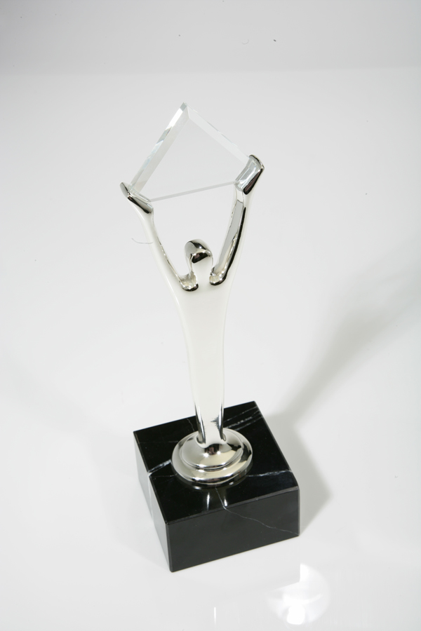 Silver Stevie Award