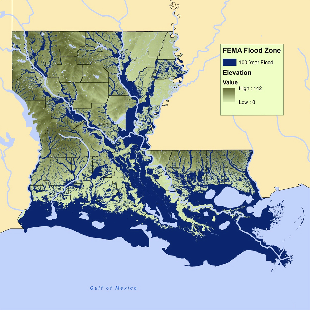 FEMA flood risk map