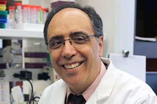 Dr. Augusto Ochoa