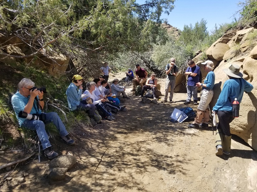 students learning at field camp
