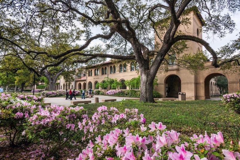 LSU to Explore Gender Inequities in Research and Academia with $300K