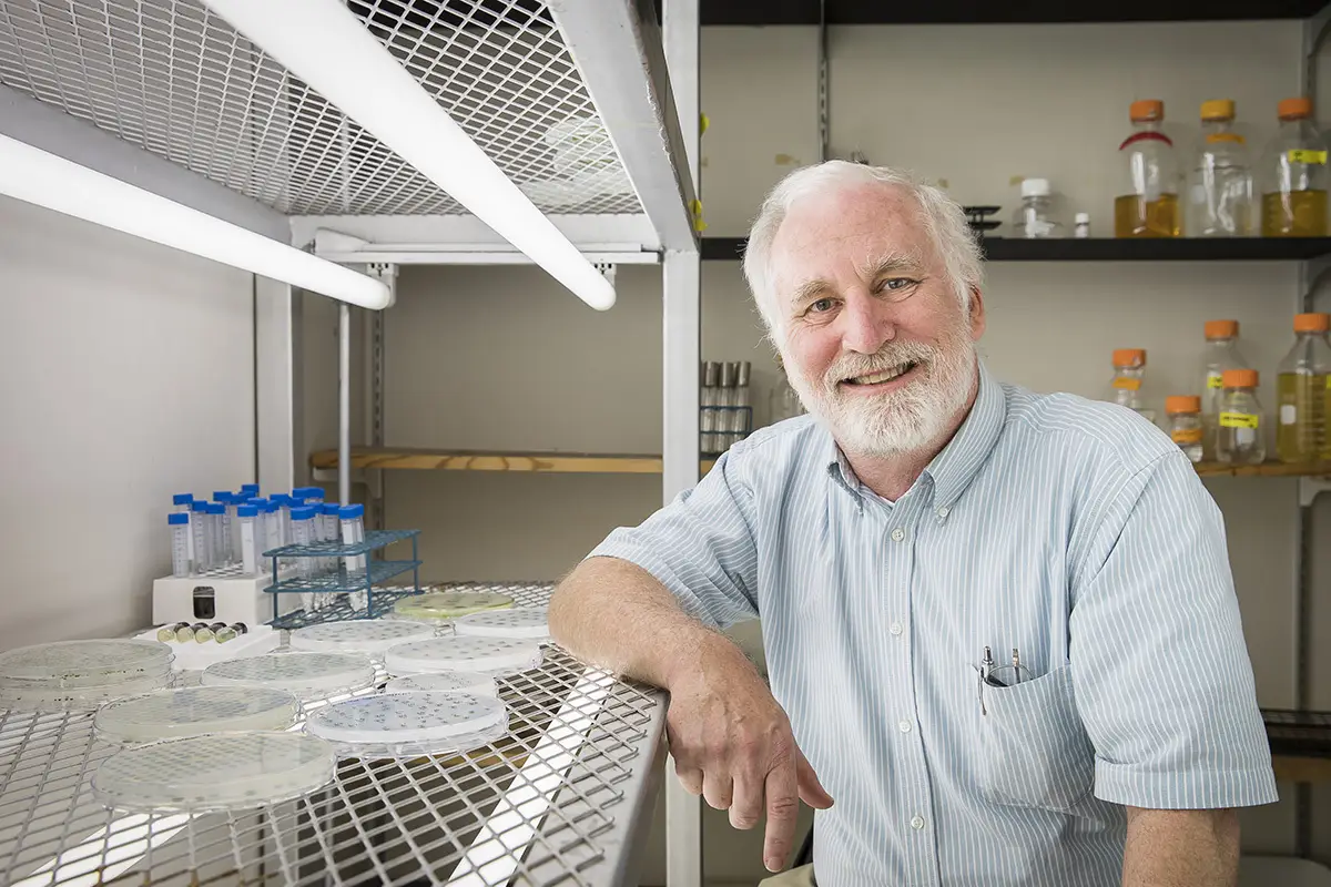 Professor Jim Moroney of LSU working in his lab.