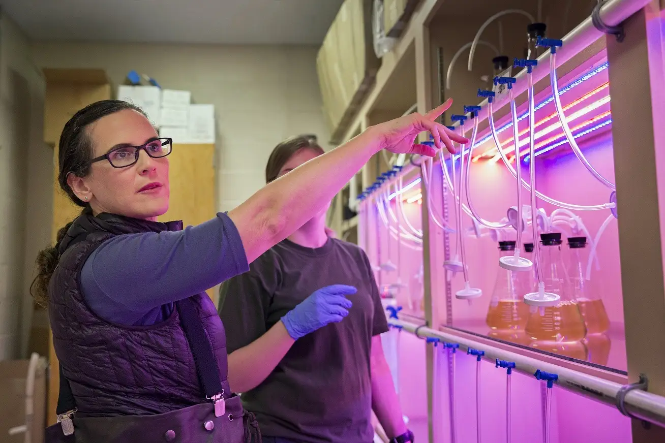 Professor Morgan Kelly of LSU working in her lab.