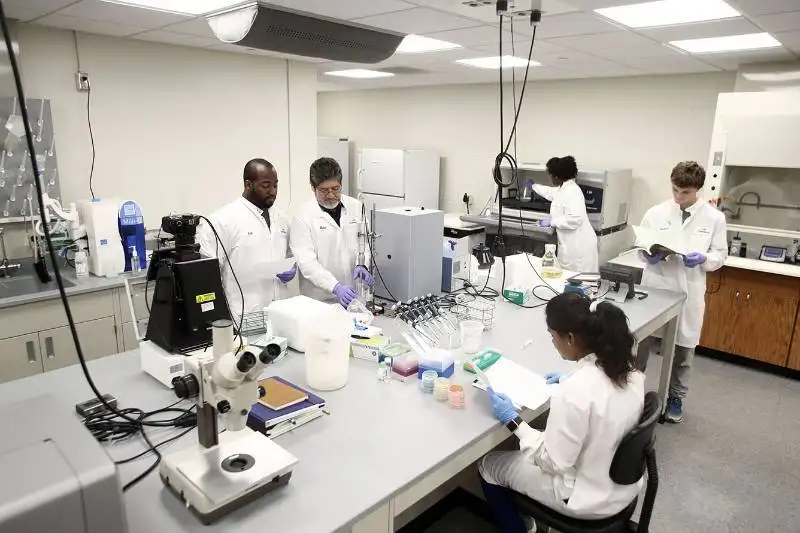 Dr. Mario Rivera of LSU working in his lab with students.