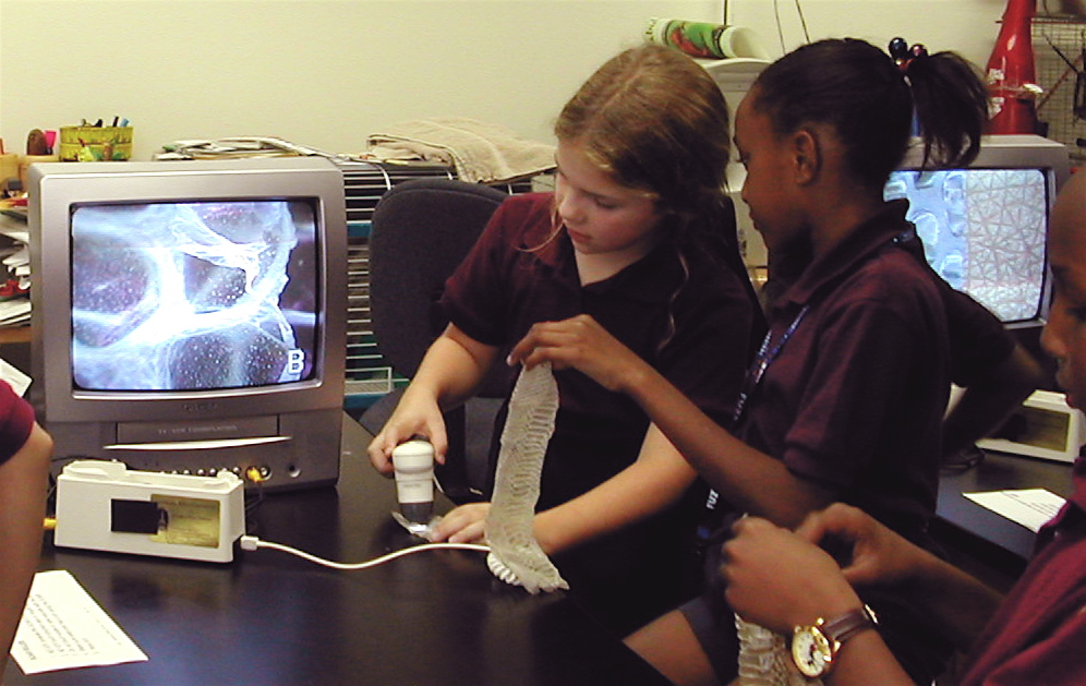 elem students with snake skin