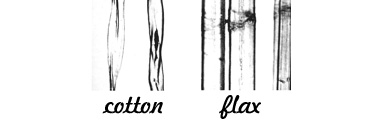 cotton and flax fiber
