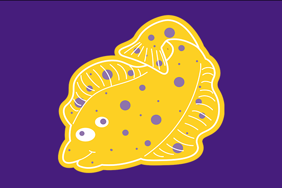 flounder  cartoon image