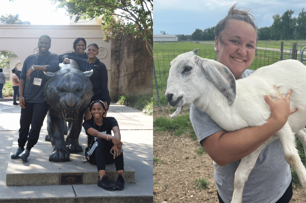 group shot at mikes enclosure and goat farm