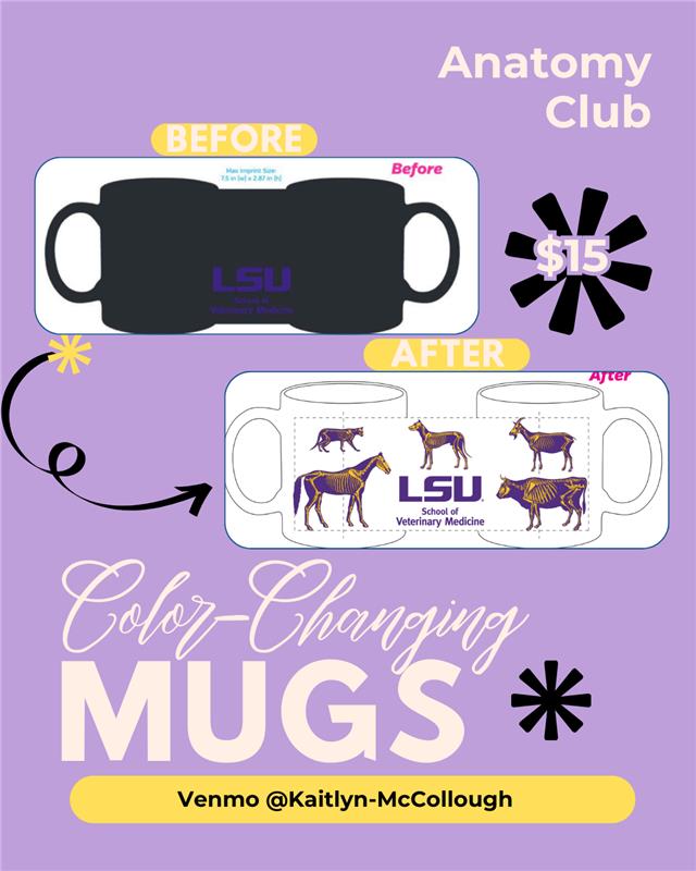 mugs flyer